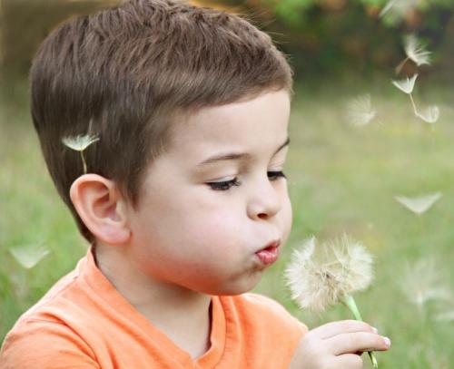 kind met bloem kind met bloem